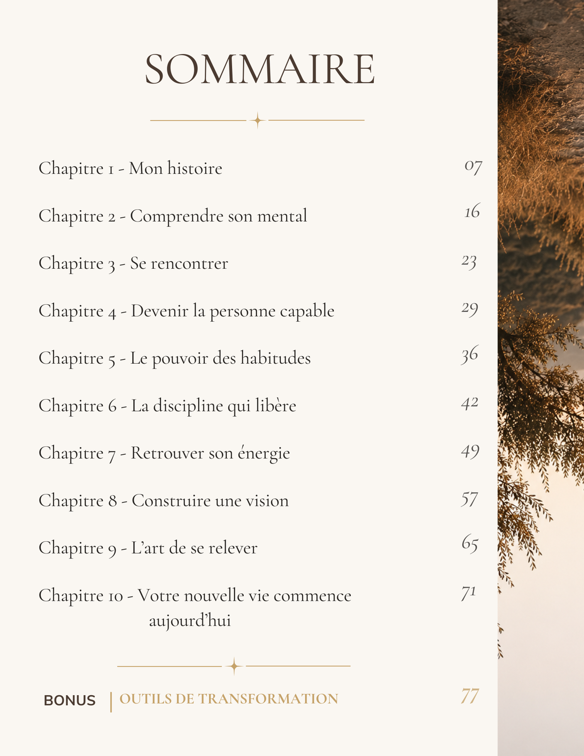 Sommaire de l'ebook Les Règles d'or - 10 chapitres et outils de transformation personnelle